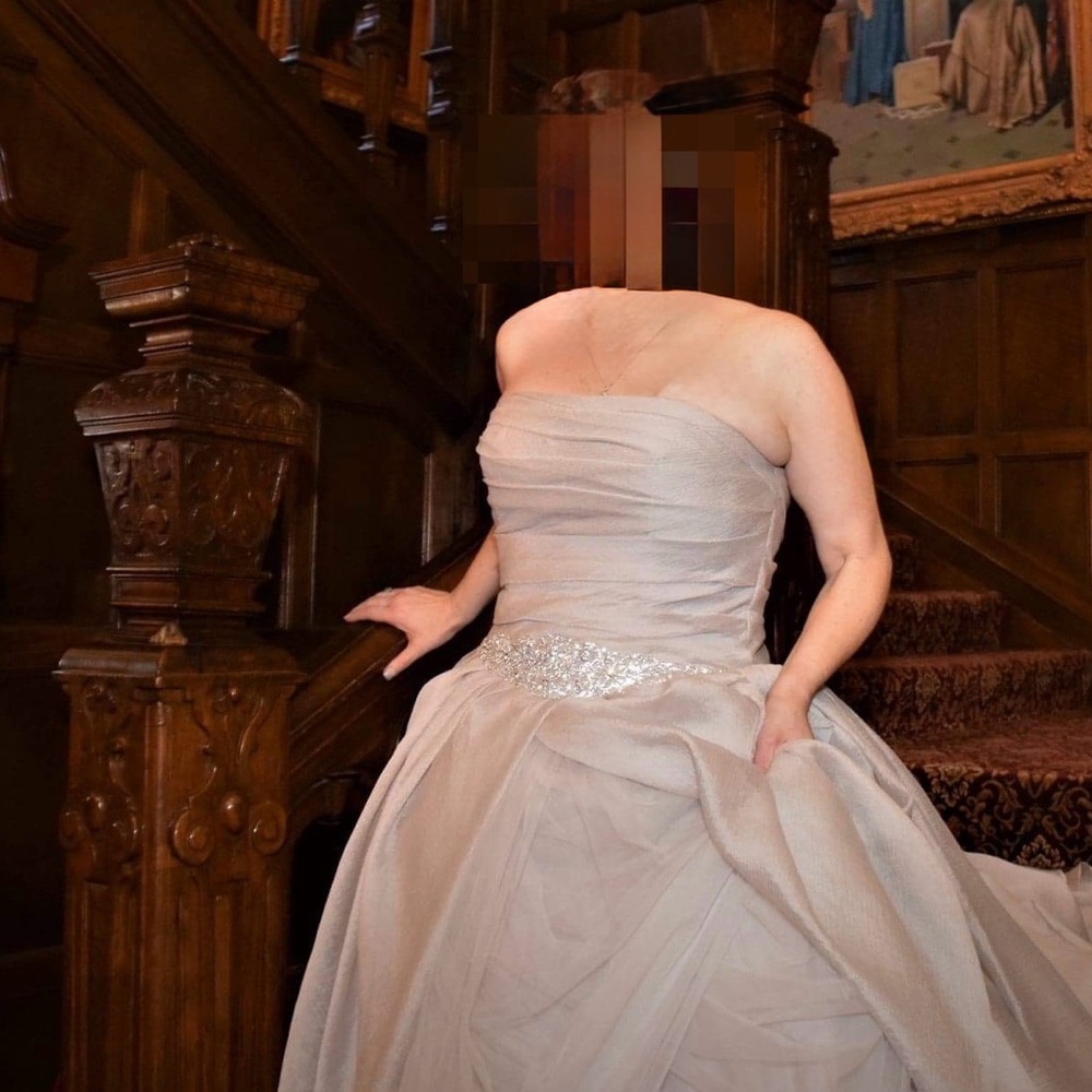 Vera Wang Wedding Ballgown